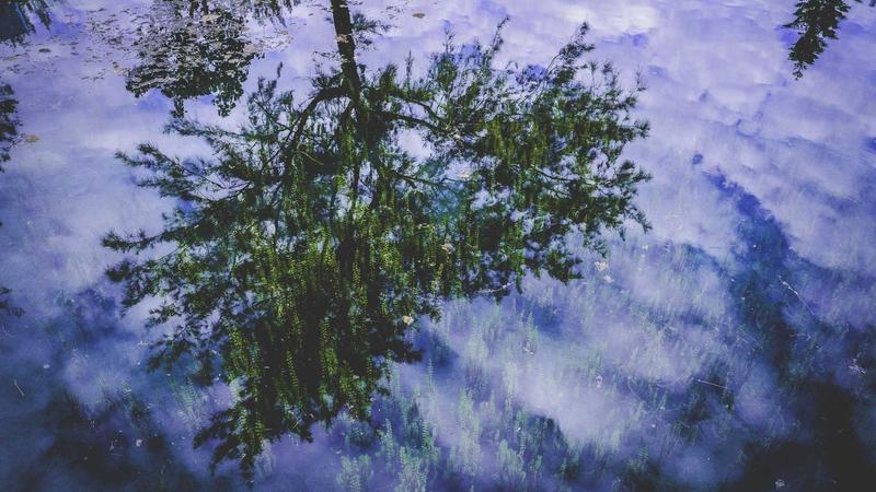 Bolsa Atleta 2026: mais de 10 mil esportistas são contemplados em todo o Brasil