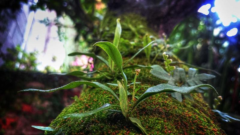 Secretaria de Assistência Social fortalece inclusão produtiva e amplia oportunidades no Norte de Minas