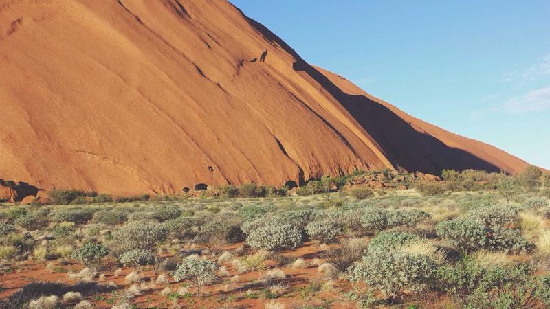 ONG oferece bolsas para estudantes negros do Norte de Minas que querem estudar no exterior