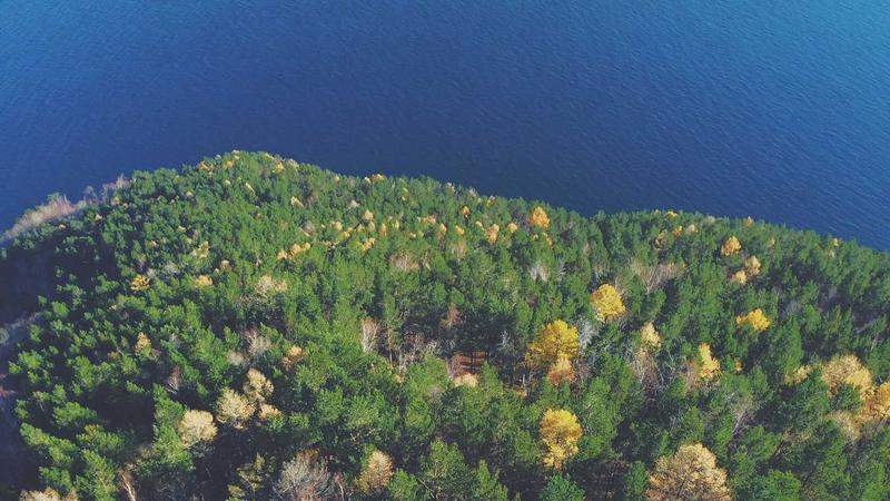Unicamp abre investigação sobre furto de material biológico de laboratório